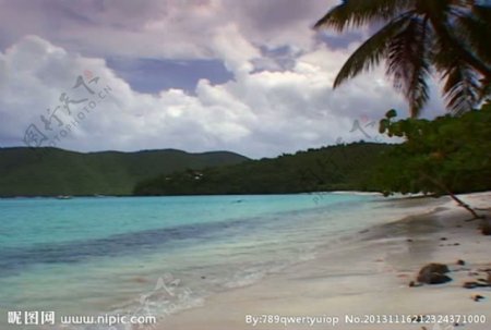 海水椰树海岸视频素材