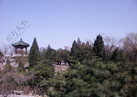 北京日坛公园图片
