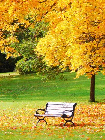 秋天躺椅公园图片