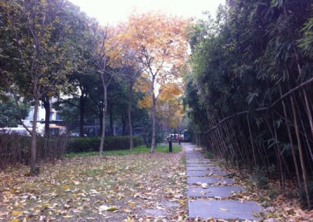 上海市城中花园小区图片
