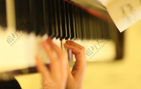 钢琴手指图片