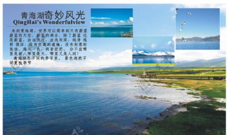 青海湖宣传卡图片
