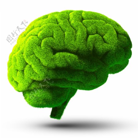 创意绿色大脑图片