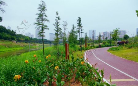 园林建设道路景观图片