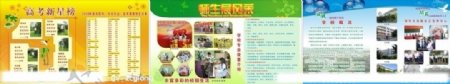 新丰县职业中学宣传栏图片
