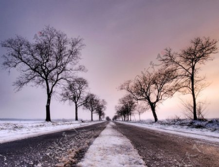 路边雪景图片