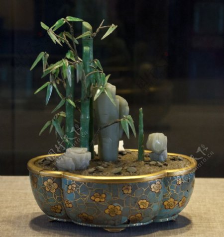 木胎海棠式盆翠竹盆景图片