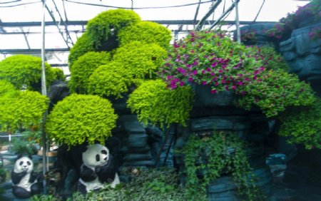 园艺造型熊猫图片