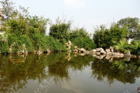 公园拾景水池图片