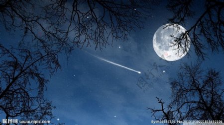 月夜流星图片