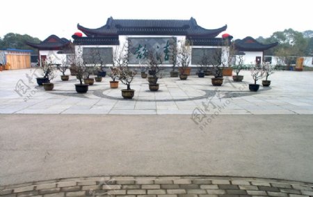 武汉东湖梅园图片