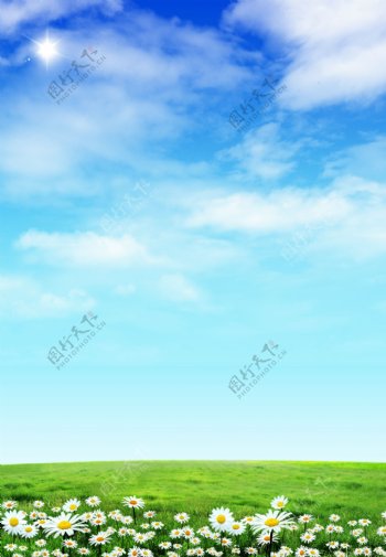 蓝天白云绿草地鲜花图片