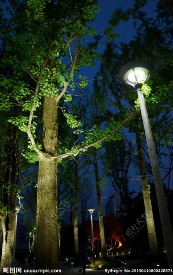 幸福广场的夜色图片