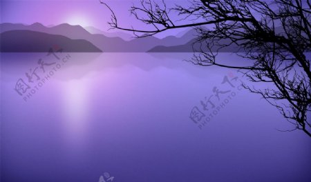 紫韵荷塘月色图片