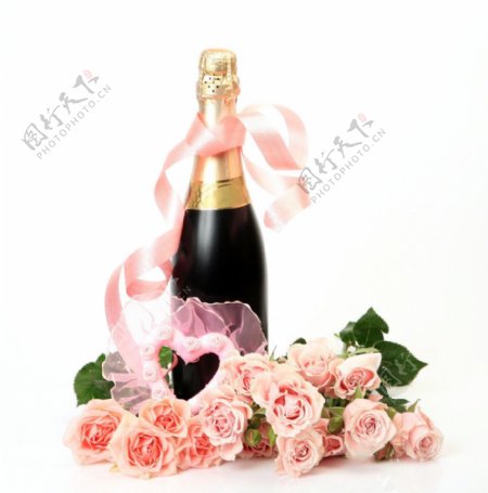 玫瑰香槟图片