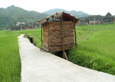 侗族家乡的田野图片