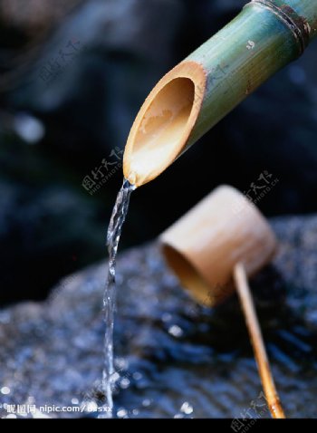 乡间泉水竹子图片