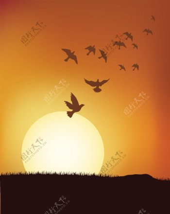 日落下的鸟群.ai图片