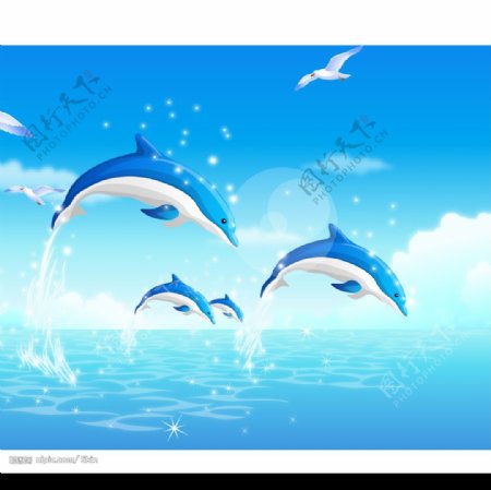 精美的海豚图片
