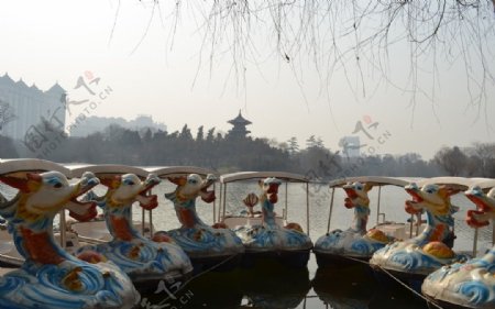 兴庆宫的游船图片
