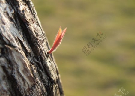 破茧新生图片