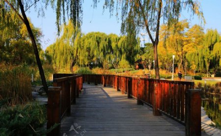北京海淀公园图片