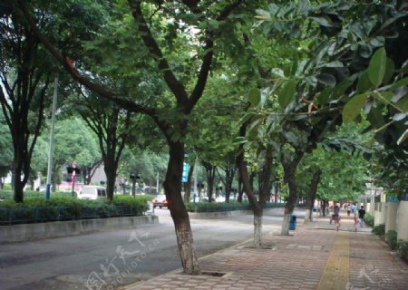 广州街景图片