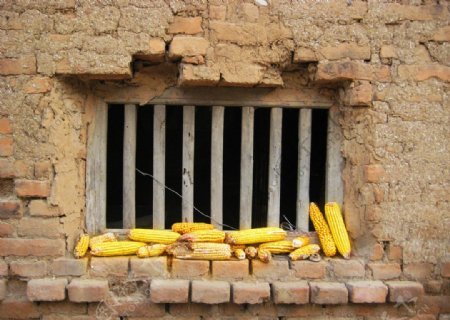 农家院的窗户和玉米图片