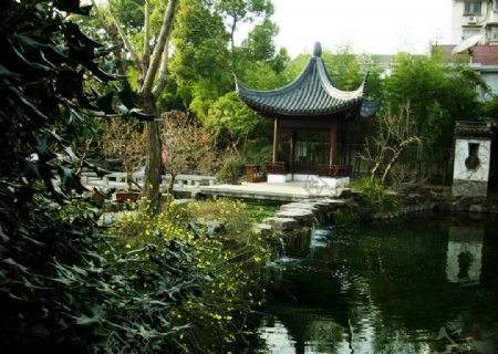 上海古漪园图片