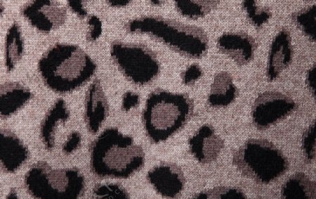 豹纹肌理花色布料图片
