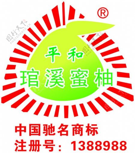 中国蜜柚注册商标图片