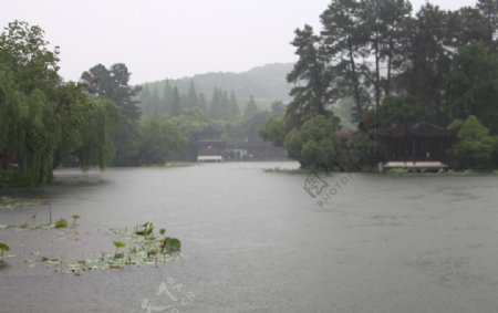 雨中西湖图片