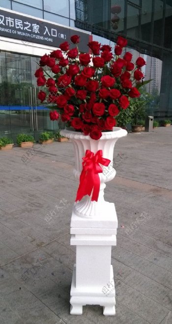 罗马花盆玫瑰花艺图片