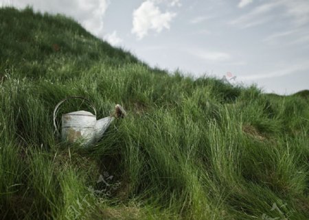 草地上的水壶图片