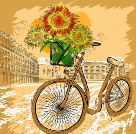 城市自行车向日葵图片