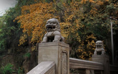 孔庙里面的狮子图片