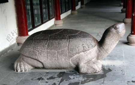 雕塑石龟图片