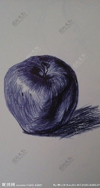 蓝色圆珠笔素描苹果画图片