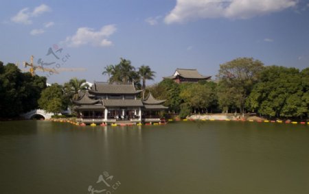 泸江公园图片