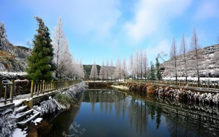 茶山竹海雪景图片