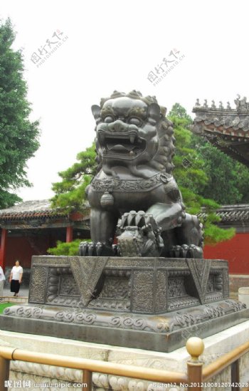 颐和园铜狮图片