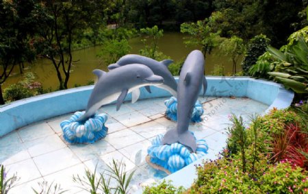 云台花园海豚图片