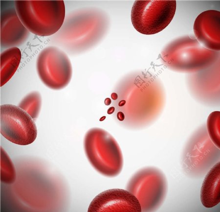 红血球图片