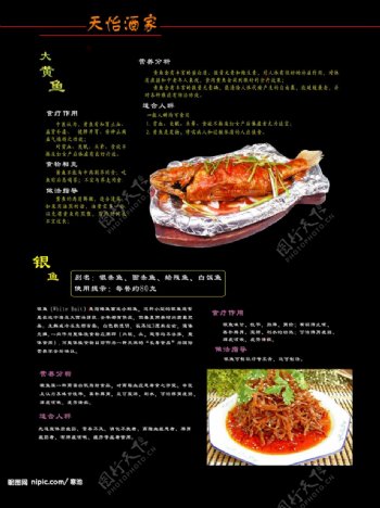 海鲜菜谱书籍图片