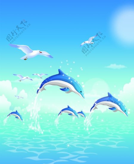 海豚跳跃自由之美图片
