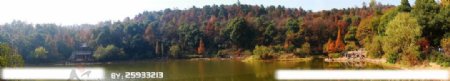 半坡湖看枫林图片