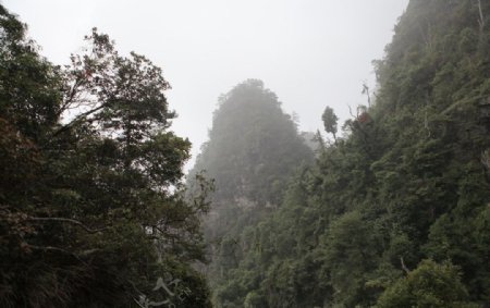 金秀莲花山图片