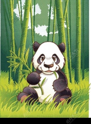 矢量写实动物熊猫图片