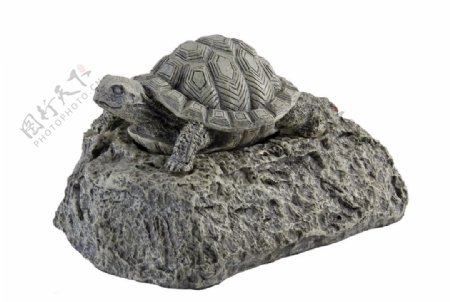 乌龟雕塑图片