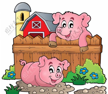 农场卡通猪图片